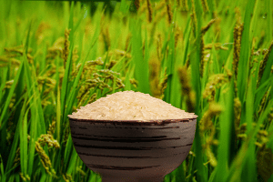 Non-Basmati Rice
